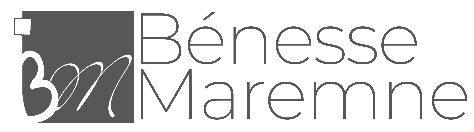 Site de Benesse Maremne