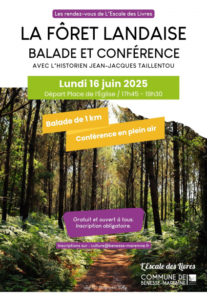 La_foret_landaise_juin_2025