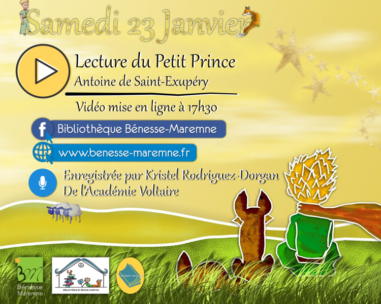 Le_Petit_Prince_Format_Rseaux_Sociaux